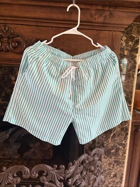 Men's Aqua Stripe Swim Trunks with Drawstring